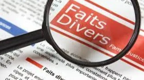 [ FAIT DIVERS ] Démantelement trafic de stups:  Un Arlésien jugé...